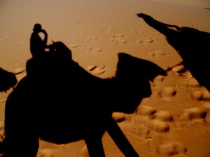 Me and Blitzen (our shadows)