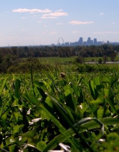 The Lou from Cahokia