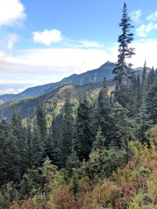 MVIMG_20180913_094542